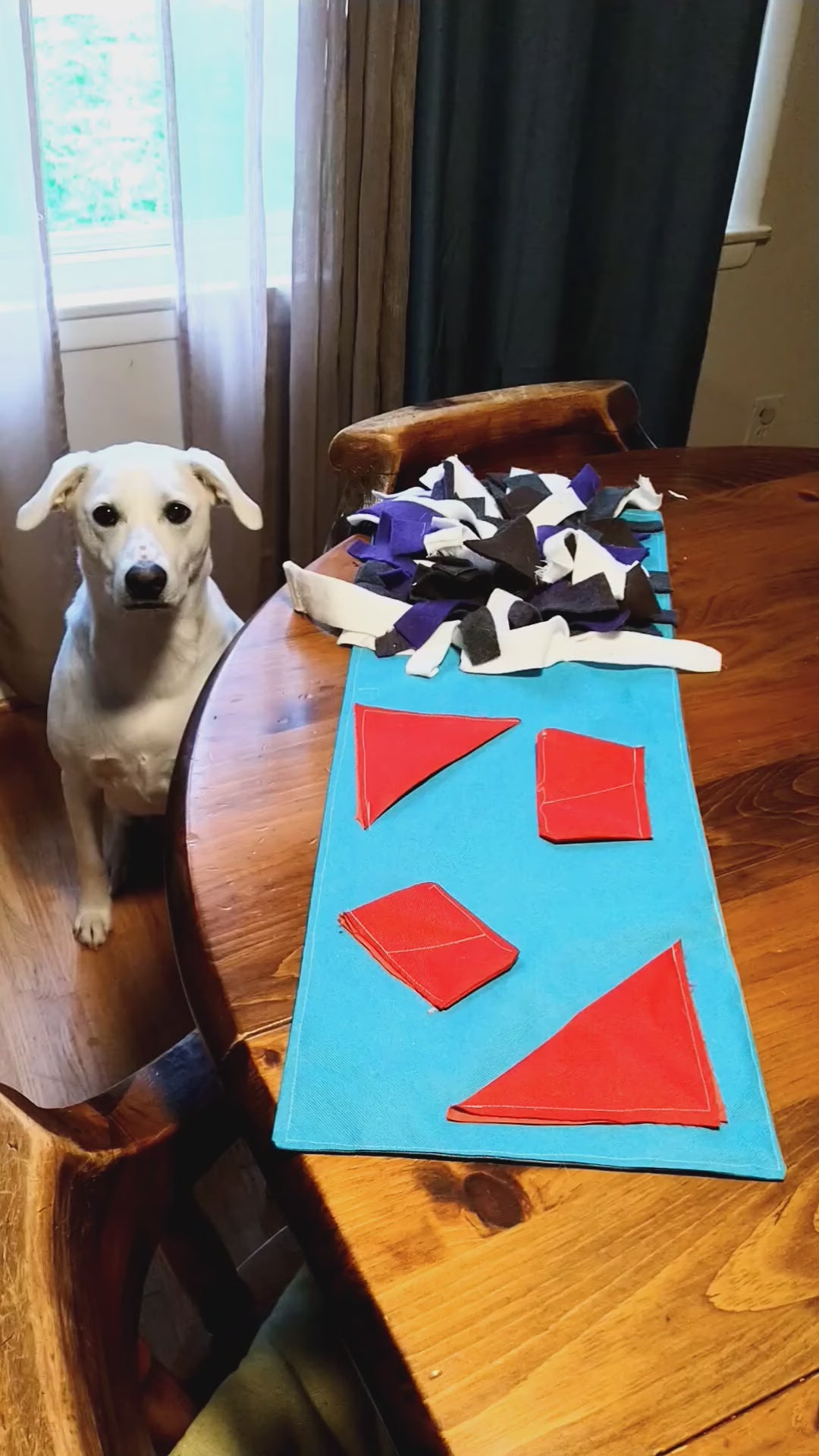 Dog activity outlet mat diy